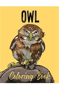 Owl Coloring Book: Adult Coloring Book With Owls Illustrations for Stress Relief and Relaxation