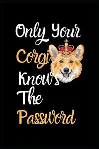 Only Your Corgi Knows The Password
