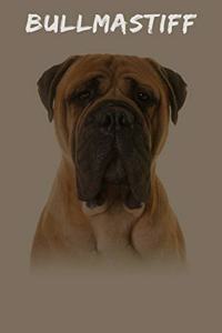 Bullmastiff