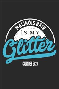 Malinois Hair Is My Glitter Calender 2020