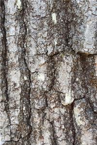 2020 Daily Planner Oak Tree Bark Photo 388 Pages