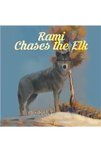 Rami Chases the Elk