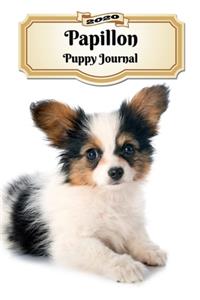 2020 Papillon Puppy Journal