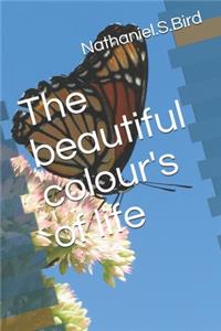 The beautiful colour's of life