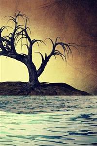 Island Notebook