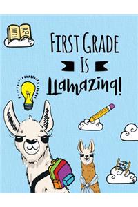 First Grade is LLamazing!