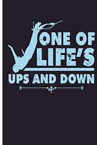 One Of Life's Ups And Down