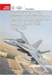 US Navy Hornet Units of Operation Iraqi Freedom, Part One