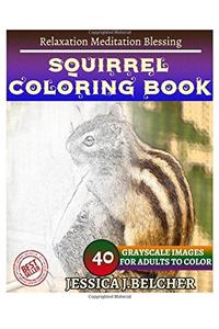 Squirrel Coloring Book for Adults: Relaxation - Meditation - Blessing; Sketches Coloring Book 40 Grayscale Images