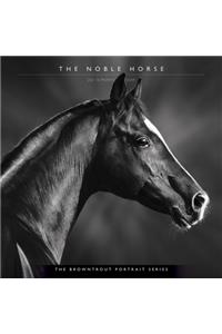 Horse, the Noble, the Browntrout Portrait Series 2021 Square