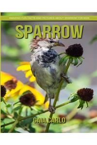 Sparrow