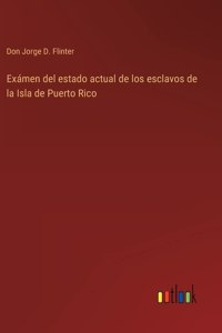 Exámen del estado actual de los esclavos de la Isla de Puerto Rico
