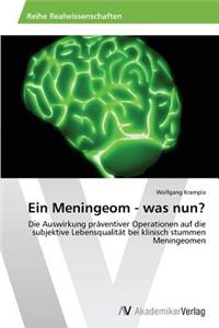 Meningeom - Was Nun?