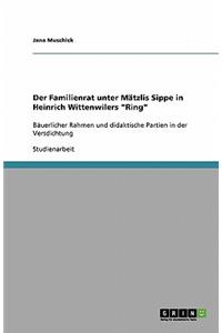 Der Familienrat unter Mätzlis Sippe in Heinrich Wittenwilers 