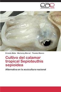 Cultivo del calamar tropical Sepioteuthis sepioidea