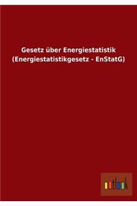 Gesetz über Energiestatistik (Energiestatistikgesetz - EnStatG)