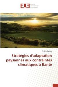 Stratégies Dadaptation Paysannes Aux Contraintes Climatiques À Bantè