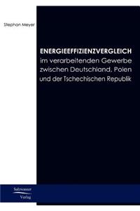 Energieeffizienzvergleich im verarbeitenden Gewerbe in Deutschland, Polen und Tschechien