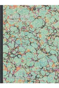 Анатомия