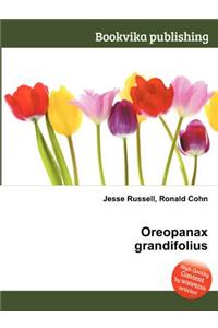 Oreopanax Grandifolius