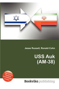 USS Auk (Am-38)