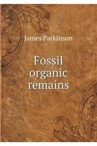 Fossil Organic Remains