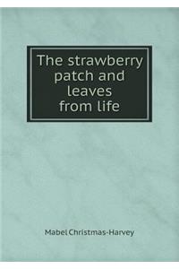 The strawberry patch and leaves from life