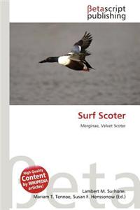 Surf Scoter