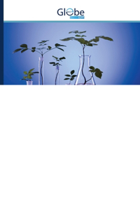 G.hirsutumL. ТУРИЧИ ДУРАГАЙЛАРИДА МОРФОБИОЛОГИК БЕ&#