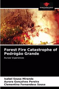 Forest Fire Catastrophe of Pedrógão Grande