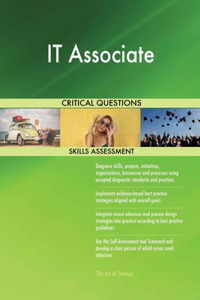 IT Associate Critical Questions Skills Assessment