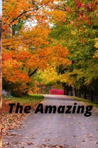 The Amazing