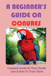 A Beginner's Guide On Conures