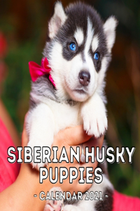 Siberian Husky Puppies Calendar 2021