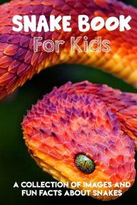 Snake Book For Kids A Collection Of Images And Fun Facts About Snakes