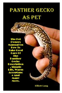 Panther Gecko as Pet