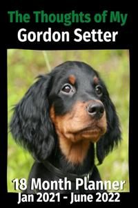 Thoughts of My Gordon Setter