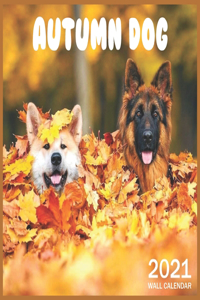 2021 Autumn Dog