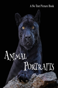 Animal Portraits, A No Text Picture Book