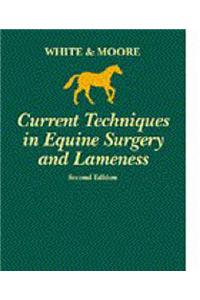 Current Techniques in Equine Surgery and Lameness