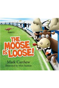 Moose Is Loose!