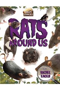 Rats Around Us