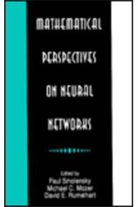 Mathematical Perspectives on Neural Networks