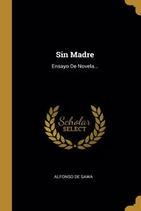 Sin Madre: Ensayo De Novela...