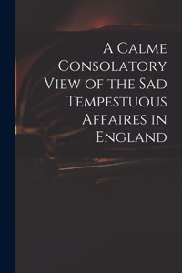 Calme Consolatory View of the Sad Tempestuous Affaires in England