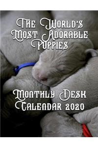 The World's Most Adorable Puppies