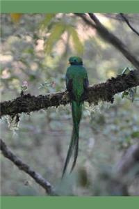 Bird Watchers and Photographers Log Journal