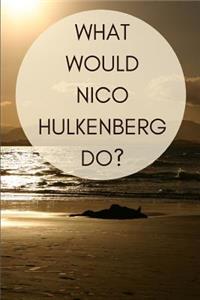 What Would Nico Hulkenberg Do?