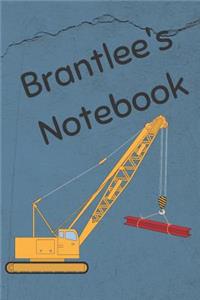 Brantlee's Journal