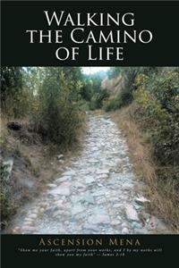 Walking the Camino of Life